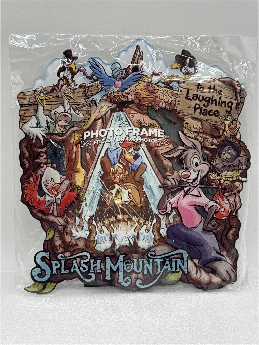 Disney Parks 2016 Splash Mountain DieCut Acrylic Picture Frame Fits 5x7 Or 4x6
